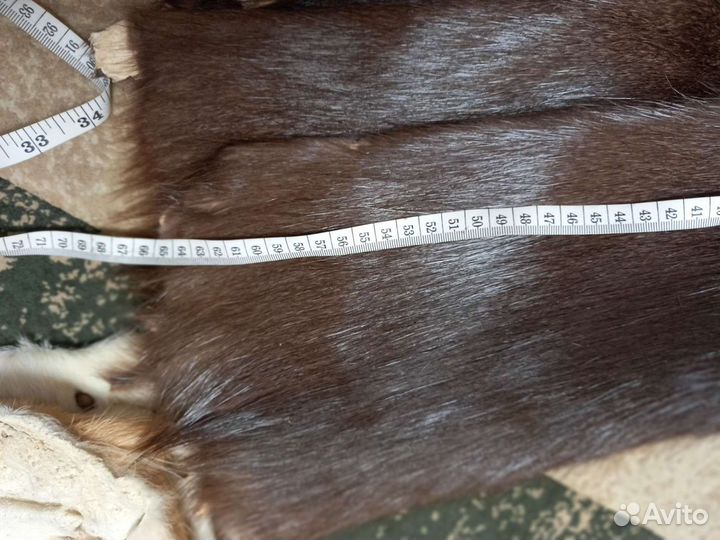 Шкуры нутрии 11 шт