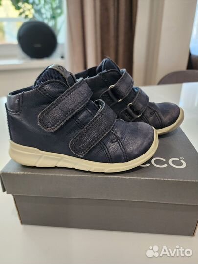 Ботинки демисезонные Ecco 23