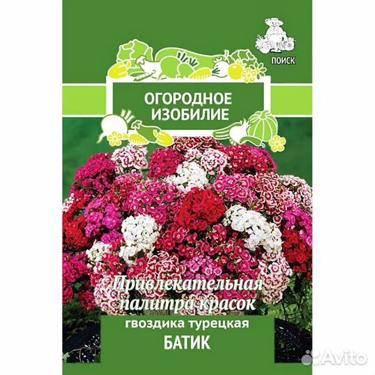 Гвоздика Батик турецкая