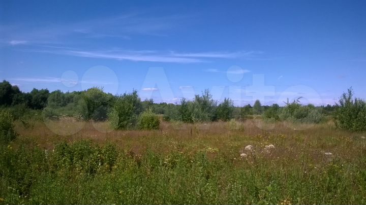 Участок 38 сот. (СНТ, ДНП)