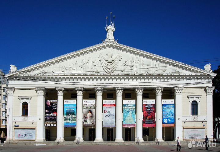 Билеты в театры Воронежа за 1/2 от цены