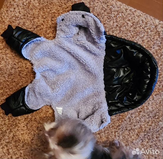 Комбинезон для маленькой собаки