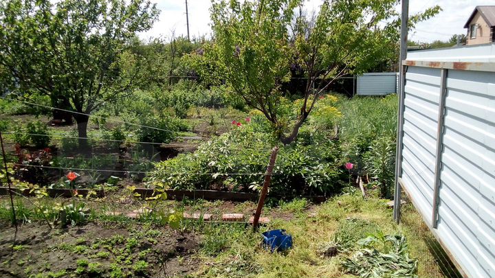 Участок 6 сот. (СНТ, ДНП)