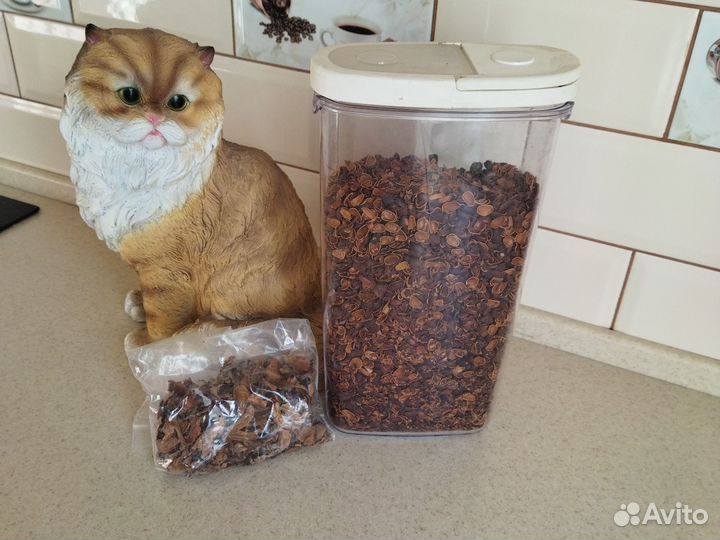 Скорлупа кедрового ореха