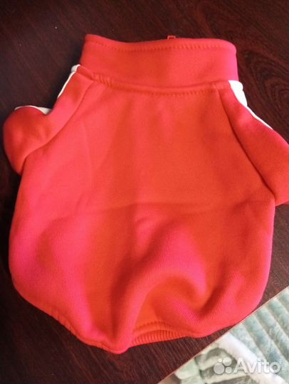 Одежда для собак мелких пород S
