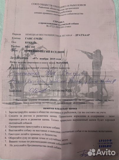 Дратхар вязка