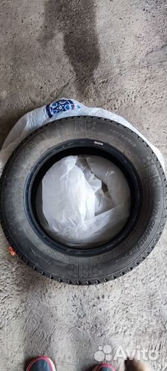 Nexen Winguard Ice Plus 185/65 R15 92T