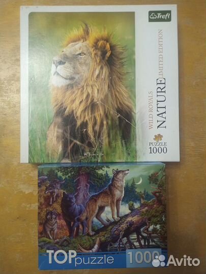Пазлы 1000