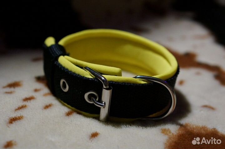 Ошейник для собак