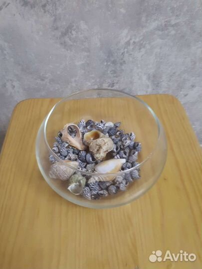 Сухой аквариум