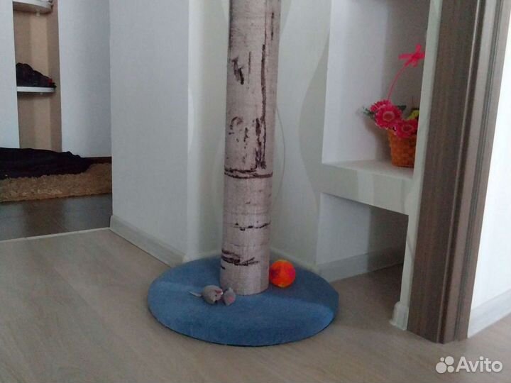 Когтеточка для кошек