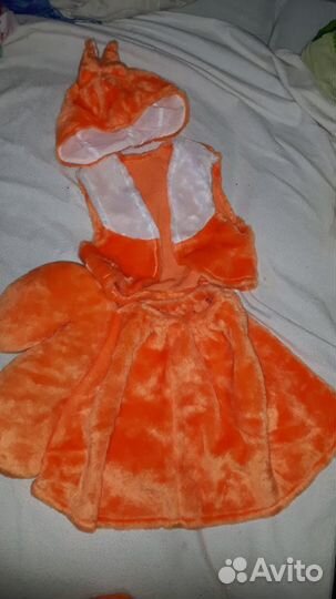 Восточная принцесса, Гном белка, собака, сова