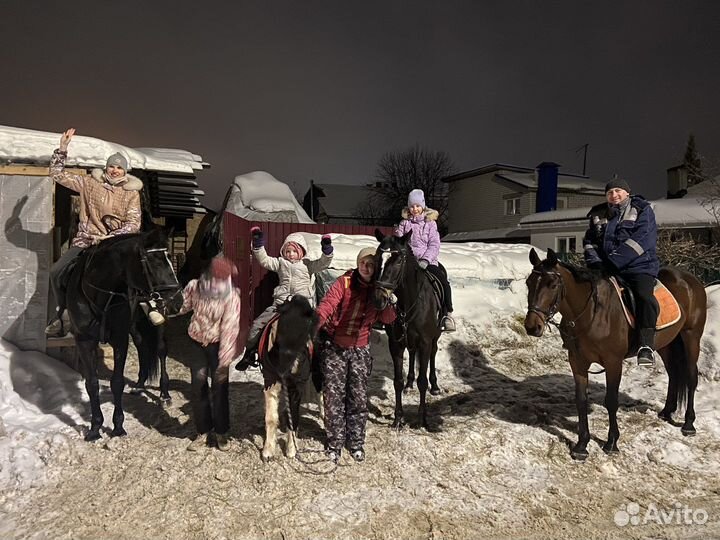 Катание и фотосессия на лошадях, обучение