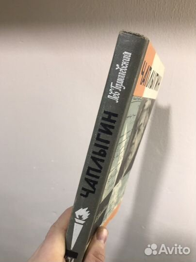 Книга жзл Чаплыгин