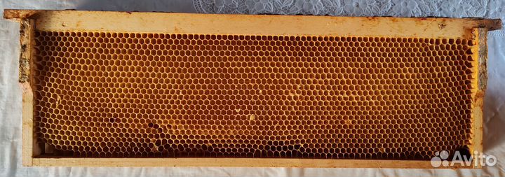 Сушь полурамки