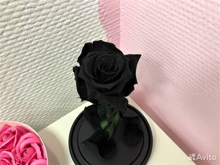 Роза в колбе