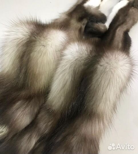 Шкурки куницы