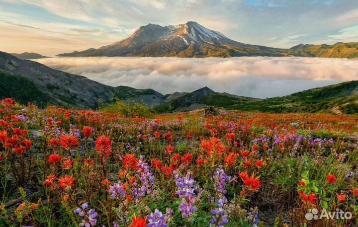 Турпутевка на Камчатку шесть дней отель 3 зв