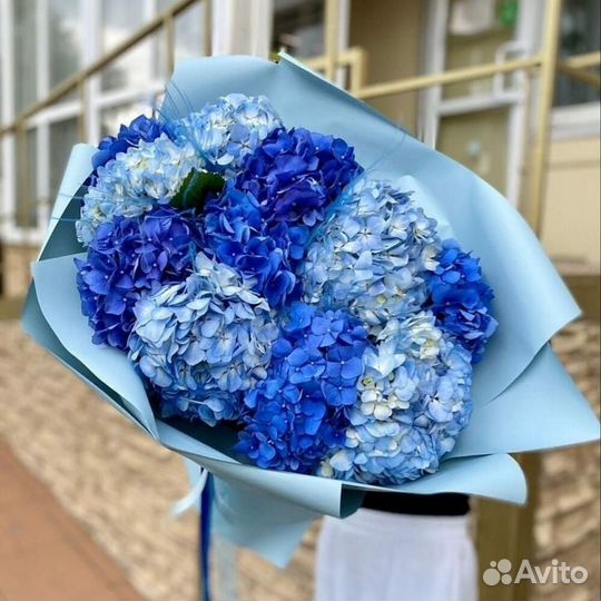 Букет из 11 голубых и синих гортензий