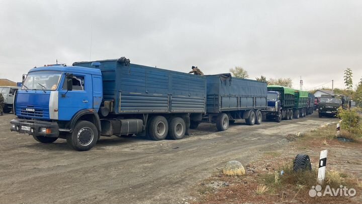 Зерновозы перевозка