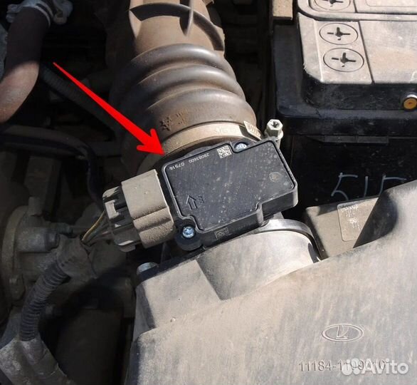 Дмрв гранта, калина Итэлма