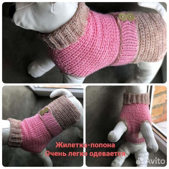 Одежда для собак