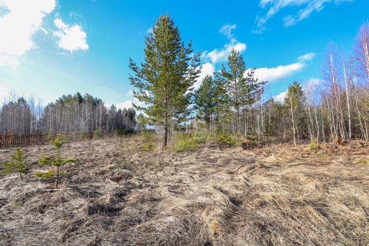 Участок 10,4 сот. (СНТ, ДНП)