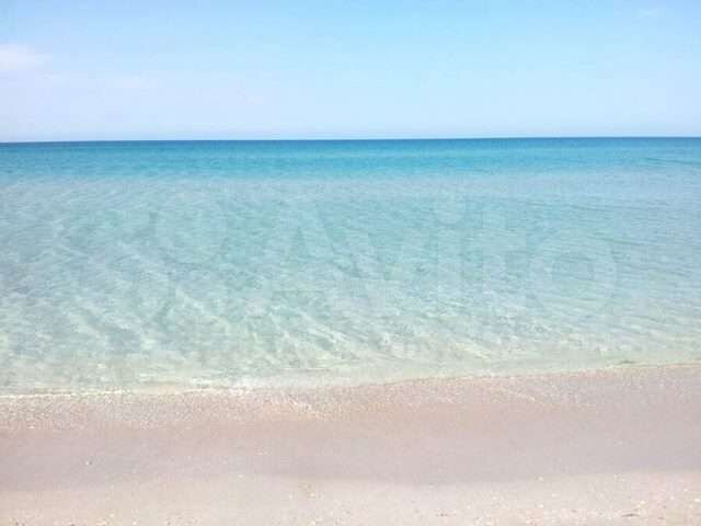 Участок 35 га (СНТ, ДНП)