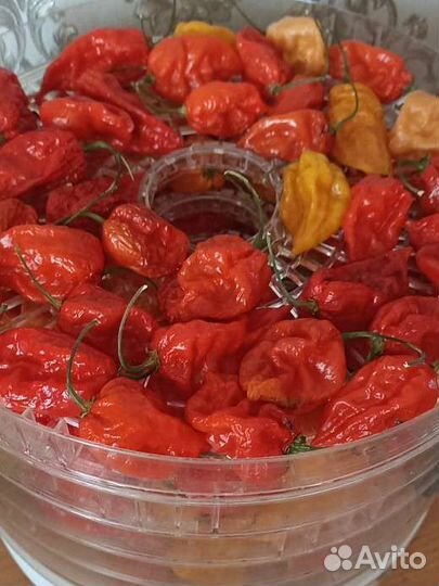 Самые острые перцы