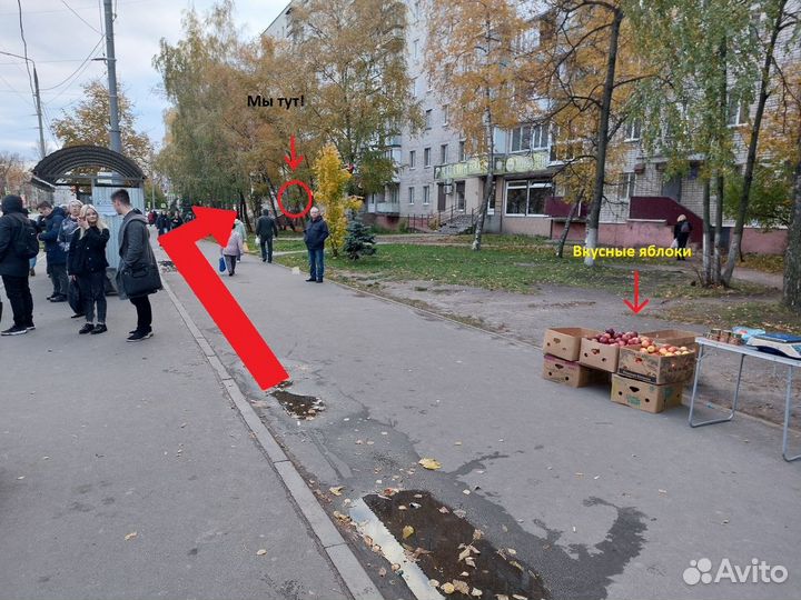 Грипсы для самоката hipe