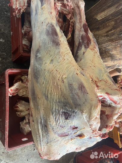 Продаю мясо Баранины, телятины, говядины