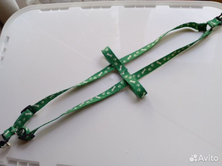 Поводок, сбруя и гогтерезка