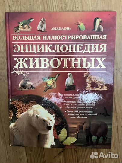 Энциклопедия