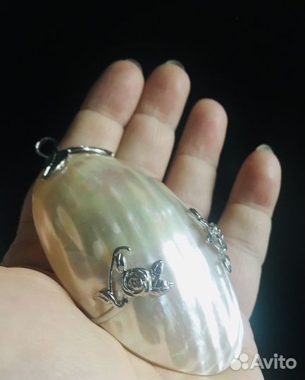 Перламутровая белая раковина