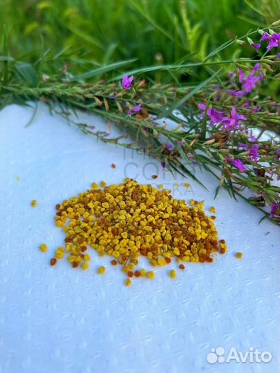 Мёд гречишный, полевой, разнотравье