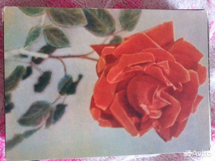 Открытки с цветами