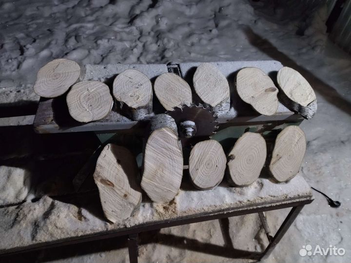 Торцевые спилы деревьев