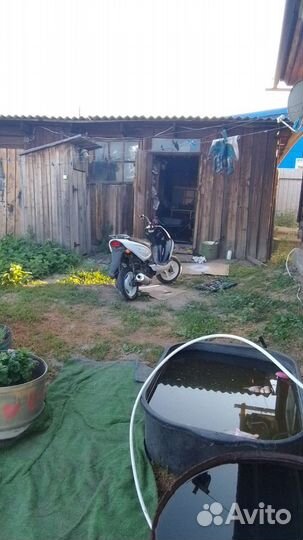 Рейсер Лупус 125cc