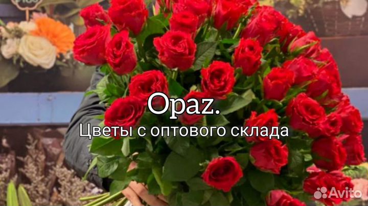 Букет из 51 розы