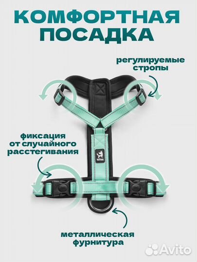 Шлейка для собак анатомическая