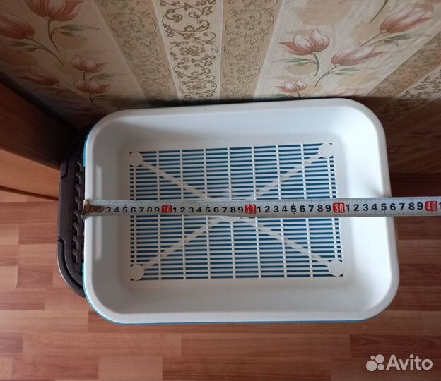 Лоток для котят