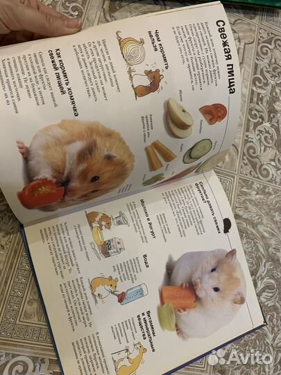Книга для ухода за хомяком