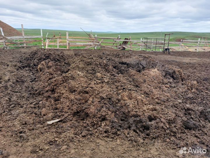 Перегной, навоз