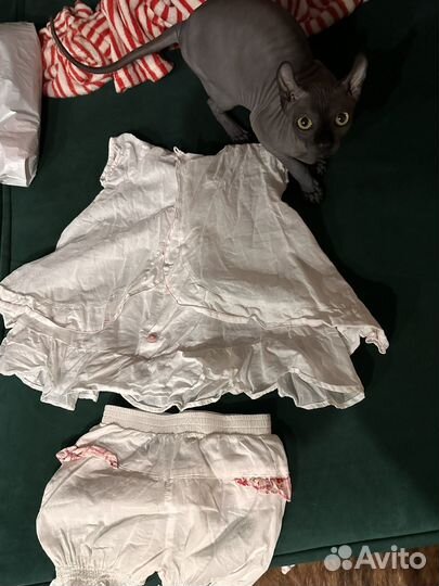 Kenzo комплект для девочки 1 год