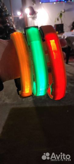 Светящийся ошейник