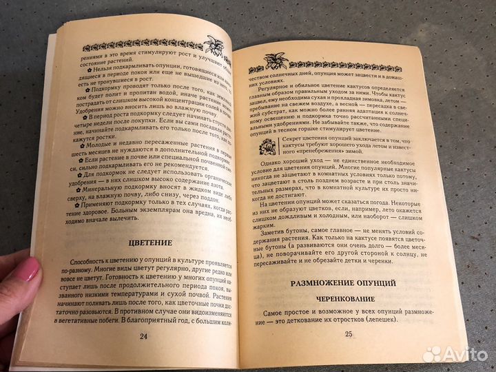 Книга про кактусы