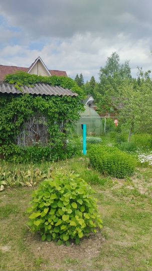 Участок 7 сот. (СНТ, ДНП)