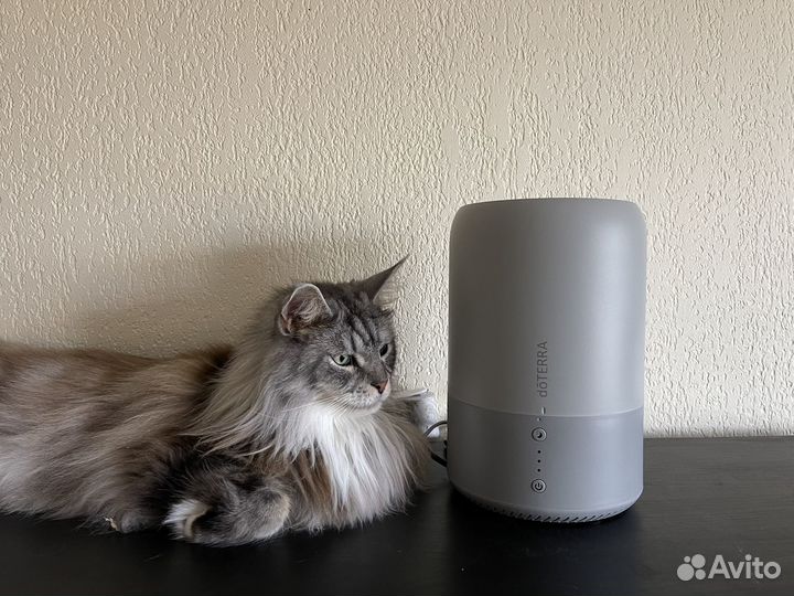 Увлажнитель воздуха doterra Humidifer Dawn Aroma