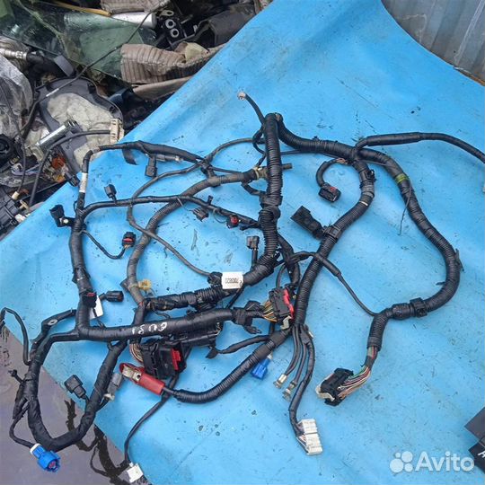 Проводка (коса) двигателя Mazda CX-9 (2006-2012)