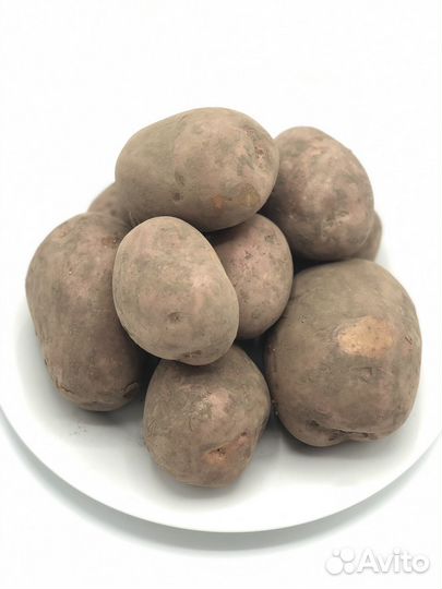 Картофель лук